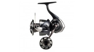 DAIWA 25 BALLISTIC HD LT ARK
